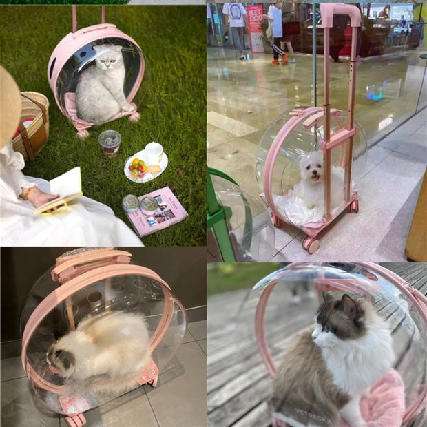 Trolley Suitcase Carrier Transparent Pet Carrying Bag Cats