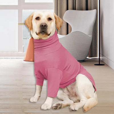 Easy to Wear  Pretty Medium Large Dog Surgery Recovery